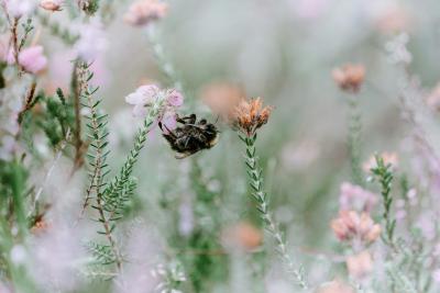 featured-image.jpg